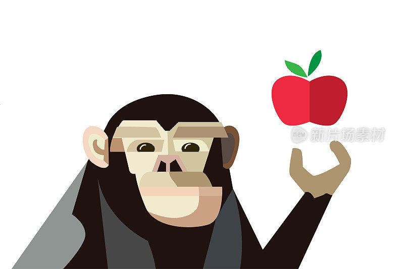 2D drawing abstract vector, creative illustration cute for decoration graphic design, A monkey is show apple , Minimal animal background. art monkey concept on white background for decorate art work.